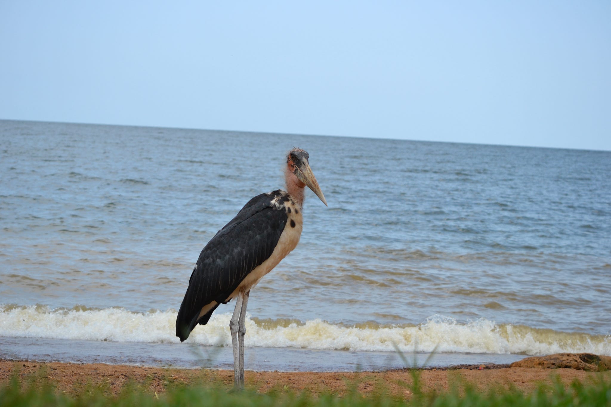 Murchison Falls